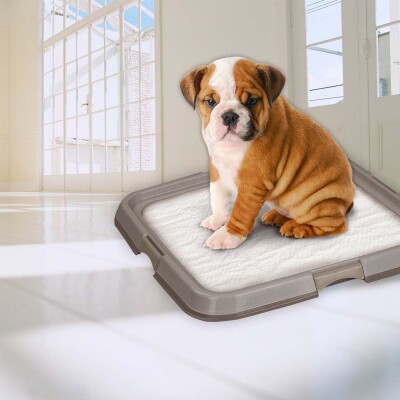 PW Βάση Εκπαιδευτικής πάνας (60χ60cm)