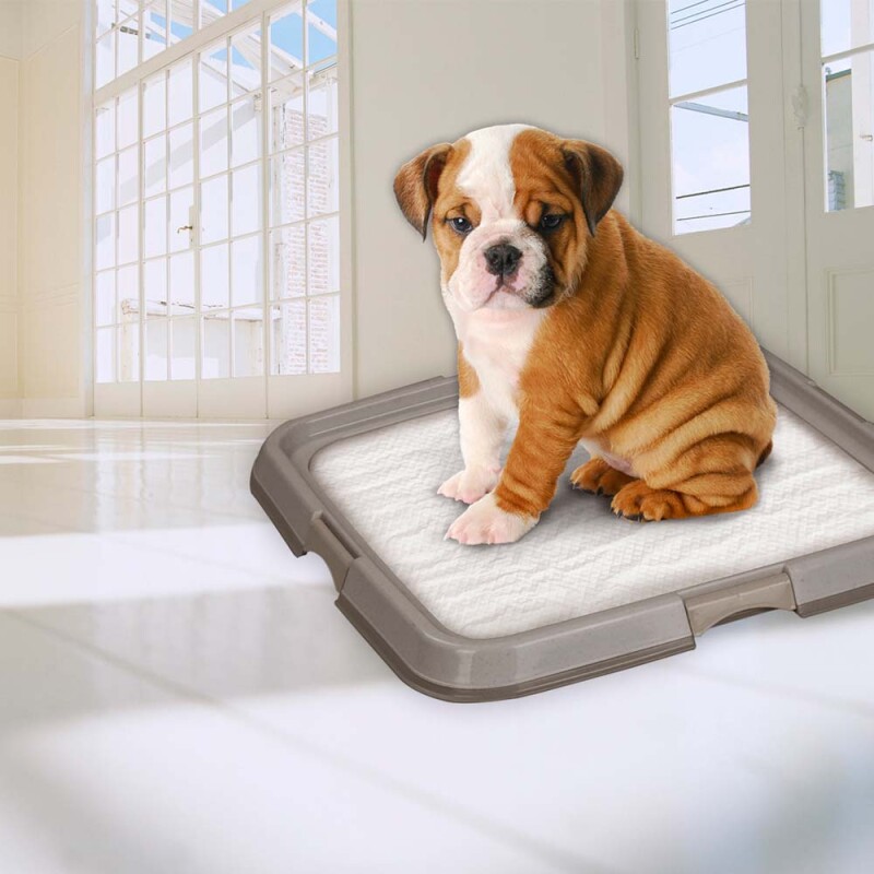 PW Βάση Εκπαιδευτικής πάνας (60χ60cm)