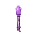 PAWISE TPR Παιχνίδι σκύλου Καλαμάρι