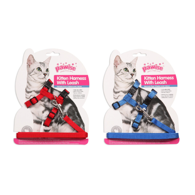 PW Σαμαράκι Γάτας (19-32/27-47cm) με Λουρί 1.20cm M Κόκκινο / Μπλε