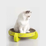 PAWISE Ονυχοδρόμιο 34,5x34,5x9cm