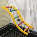 GLEE ΠΑΙΧΝΙΔΙ ΠΤΗΝΩΝ 11 x 5 x 40cm