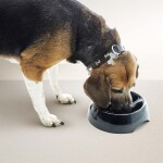 SAVIC Slow Down Mix Χρωμάτων 0,6lt