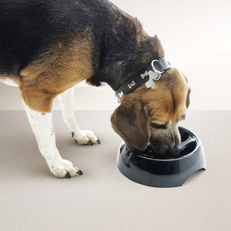 SAVIC Slow Down Mix Χρωμάτων 1,1lt