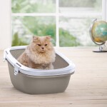 SAVIC Simba Sift Λευκό-Μπλε | 64x46x31cm