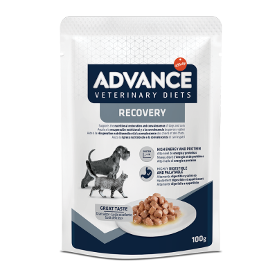 ADVANCE Veterinary Diet Dog & Cat Recovery 11x100gr
