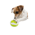 AFP Παιχνίδι Σκύλου Interactive Interperter (εγγραφή φωνής)