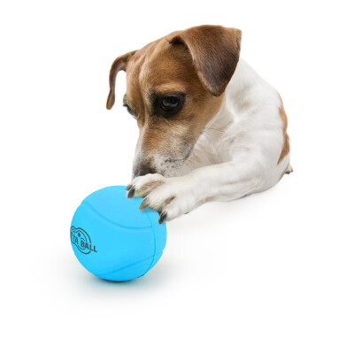 AFP Παιχνίδι Σκύλου Meta Ball Bounce & Rattle Ball