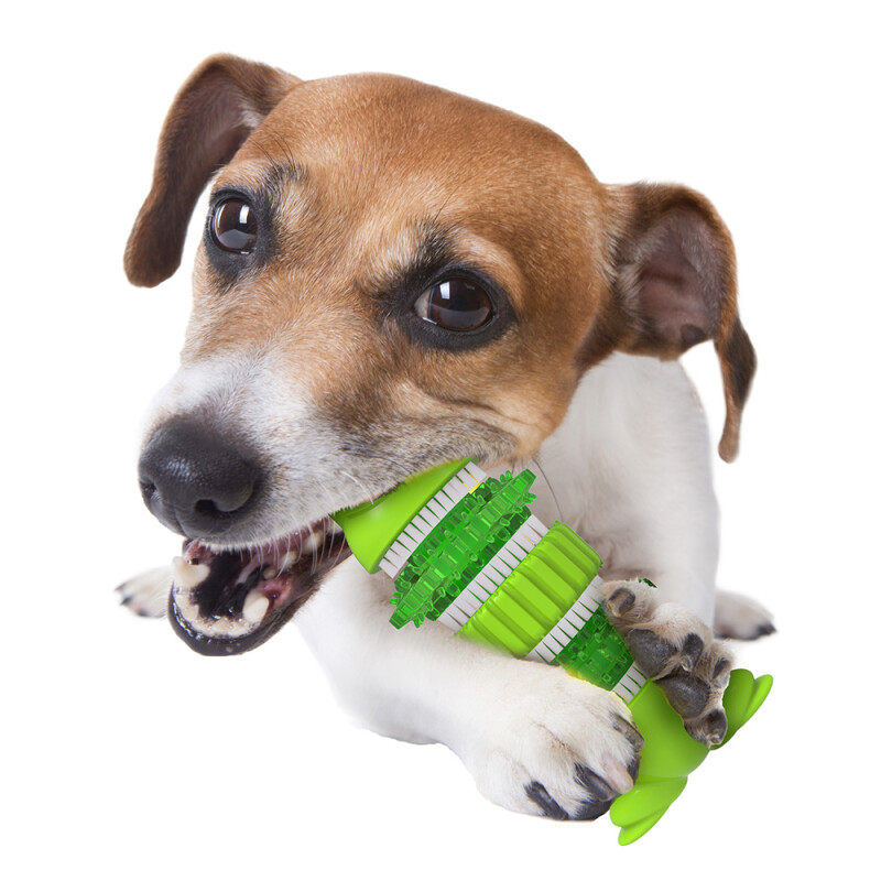 AFP Dog Toy Oral Care Chew Dental Frog
