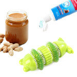 AFP Dog Toy Oral Care Chew Dental Frog