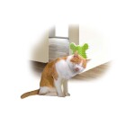 AFP Γωνία περιποίησης Γάτας Corner Groomer