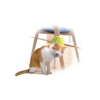 AFP Περιποίησης Γάτας 2 In 1 Groomer