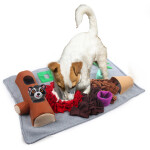 AFP Dog Toy Dig It Fluffy Mat With Reccoon