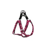 AFP Σαμαράκι Σκύλου Off Street Step in Λεοπάρ L