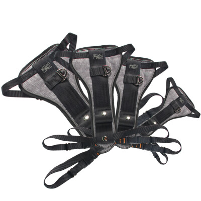AFP Car Seat Harness