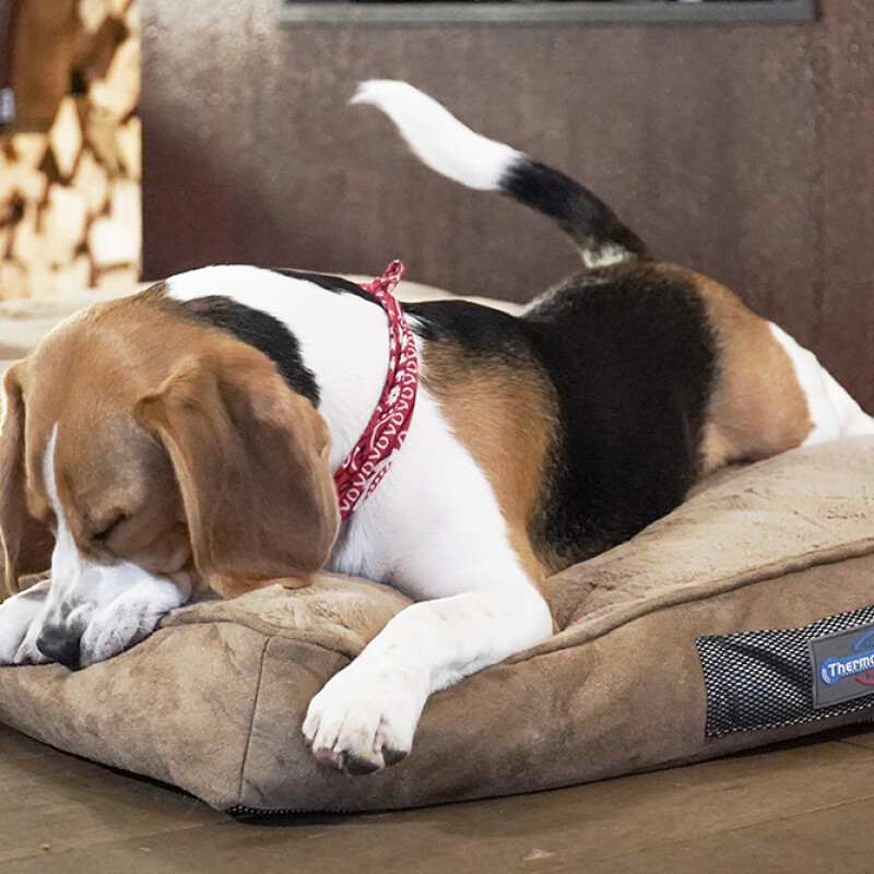 ThermoSwitch Στρώμα Milos