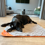 ThermoSwitch Samos Blanket